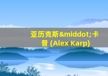 亚历克斯·卡普 (Alex Karp)